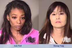 Hooker Sting Nets Four Ladies of the Night