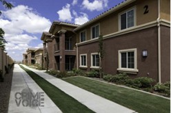 Suspect Arrested for Allegedly Stealing Car and Marijuana