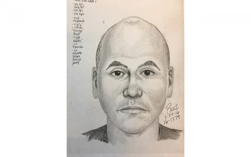 Sexual Assault Suspect Remains at Large