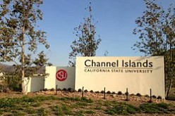 Campus Car Thieves Busted