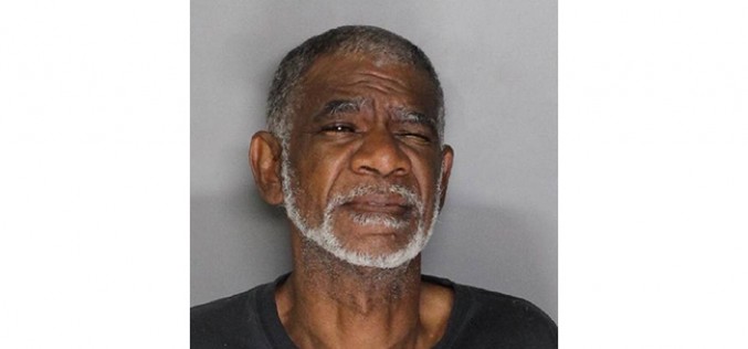 Man Gets 29 Years for Threatening Girlfriend and Shooting Dog