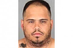 Felon and Suspected Car Thief Arrested