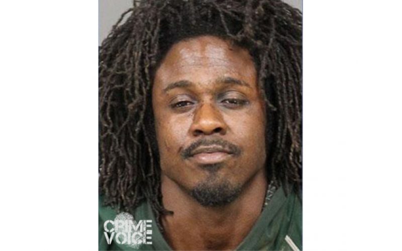 Cops Apprehend Vandal Without Incident