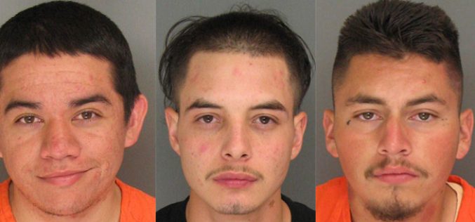 Vehicle Violation Leads to Probation Arrest