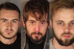 Trio of Thieves Arrested in West Roseville