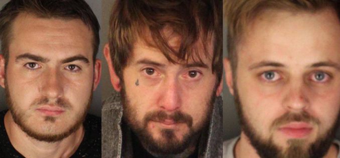 Trio of Thieves Arrested in West Roseville