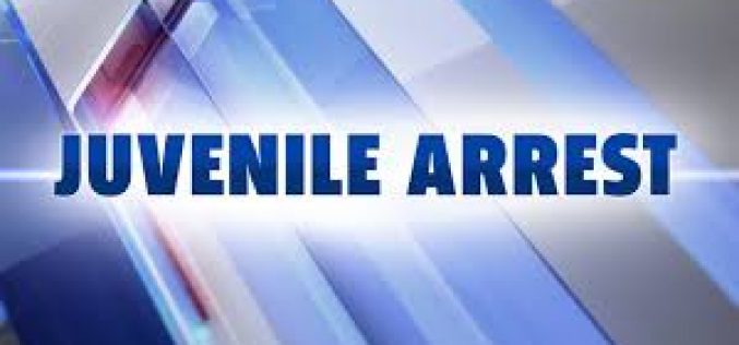 Juvenile Unsuccessfully Attempts Robbery