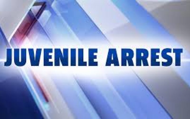 Juvenile Unsuccessfully Attempts Robbery