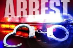 At-Large Parolee Apprehended