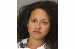 Vandalism Suspect Turns to Arson