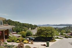 Juvenile Arrested for Felony Arson in San Rafael