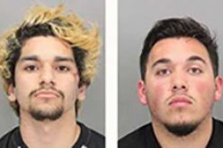 Eight arrests made after Trump supporters attacked in San Jose