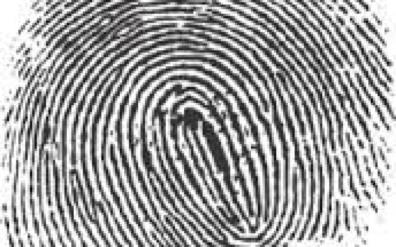 Latent Prints Nail 2014 Burglar