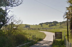 18-Year-Old Arrested for Possession of Loaded Assault Weapon in Petaluma