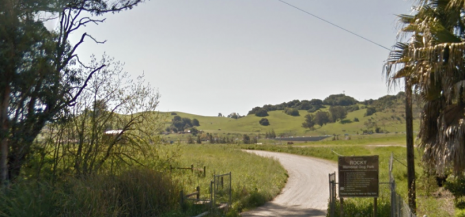 18-Year-Old Arrested for Possession of Loaded Assault Weapon in Petaluma