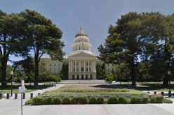 Ten Injured at Neo-Nazi Rally at State Capitol