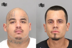 Auto Theft Suspect Arrested after Suspicious Activities at Local Hotel