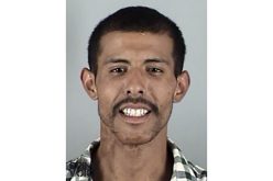 Fence-jumping Burglar Caught by Chopper & Dogs