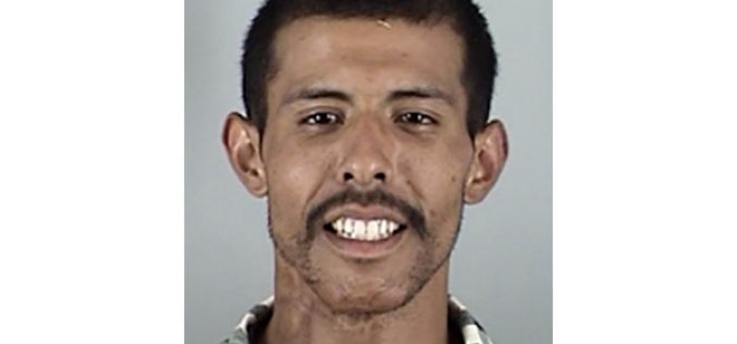 Fence-jumping Burglar Caught by Chopper & Dogs