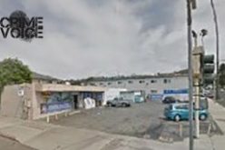 Car-Shopping Car Thief Captured