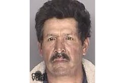 Manslaughter Arrest in Hit-and-Run Fatality