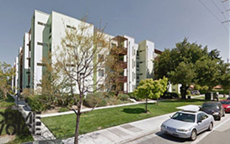 Female abuser who continued assault jailed