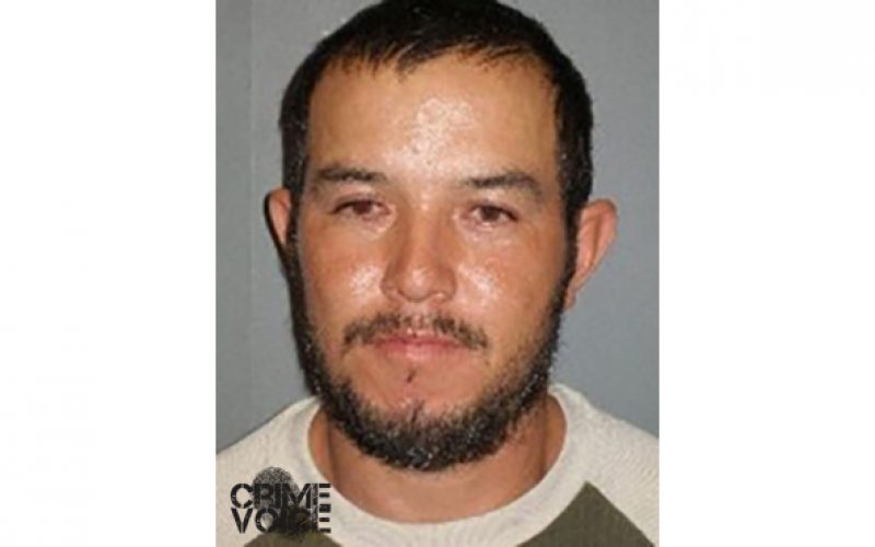 Barricaded Pellet Gun Shooter Captured