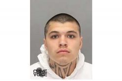 Homicide Suspect Arrested after Drive-By Shooting