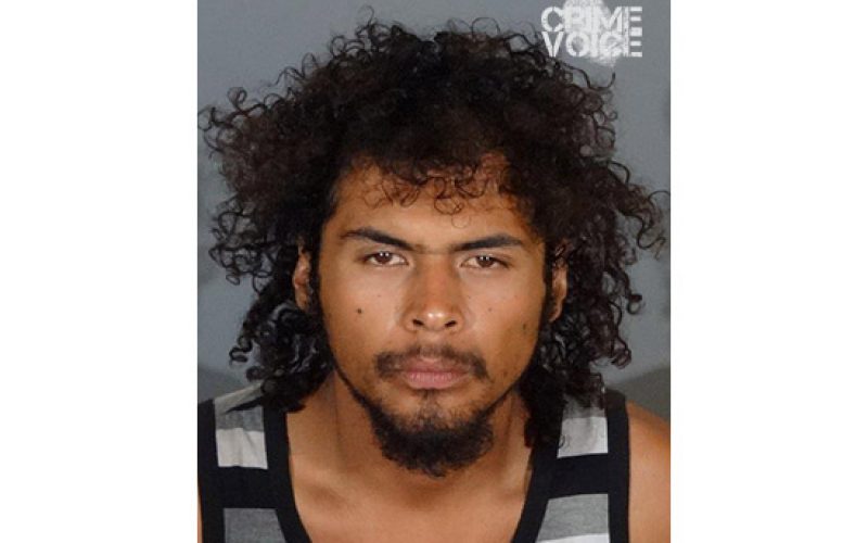 Social Media Picture Assists in Identifying Thief