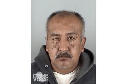 Tipline Leads to Arsenal