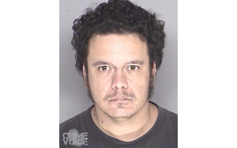 Caught with Mushrooms, Guns, and Kids