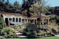 Armed Robbery Suspects Sought