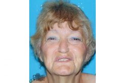 Attempted Arsonist Arrested