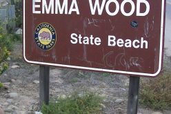 Arson Arrest for River Bottom Fire