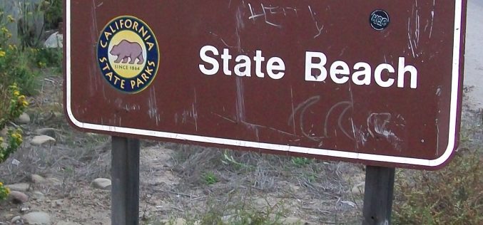 Arson Arrest for River Bottom Fire