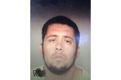 Felon on Probation Assaults Again