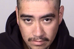 Felony Child Endangerment and Weapons Violations Arrest