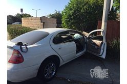 Wrong-way Car Chase Ends with Weapons Bust