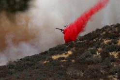 Man Arrested on Arson Charges Near Blue Cut Fire Area