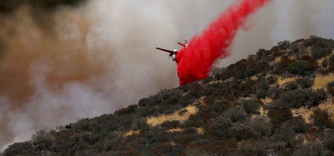 Man Arrested on Arson Charges Near Blue Cut Fire Area