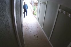 El Cerrito Officer Uses Social Media to Make Arrest