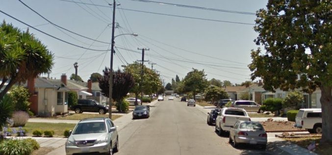 Dog Assists in Arrest of 5 Suspected Pot Growers