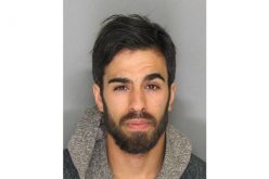 Santa Cruz Hit-and-Run Suspect Turns Himself In