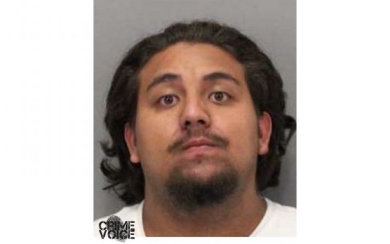 Purse snatching suspects arrested after traffic stop