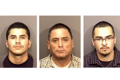 Traffic Stop Leads to Gun Recovery