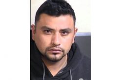 DUI Stop Reveals Gun and Bullets