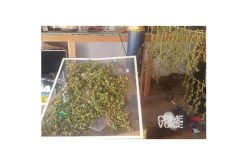 Oildale Oil Lab is Shut Down