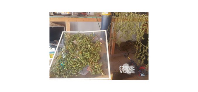 Oildale Oil Lab is Shut Down