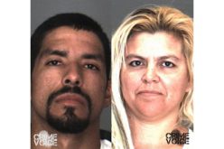 Two Birds, and Their Thieves, Are All Back in Cages