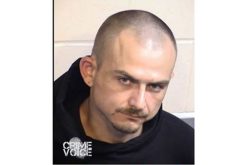 Parlier Auto Thief Busted